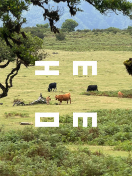 IMOM